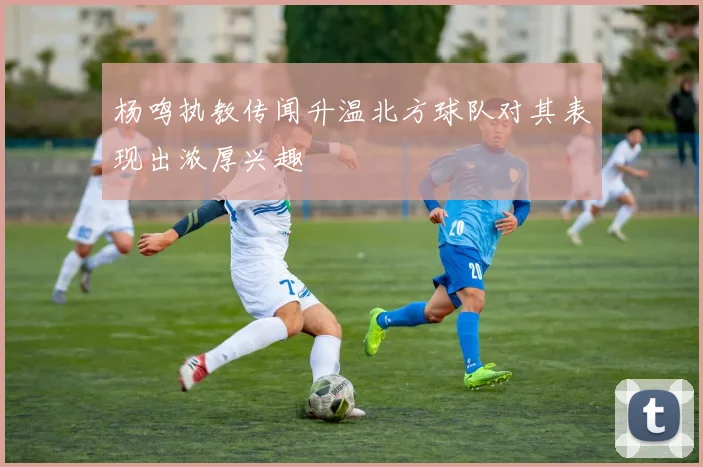 杨鸣执教传闻升温北方球队对其表现出浓厚兴趣