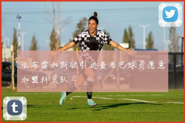 法布雷加斯欲引进查洛巴球员愿意加盟科莫队