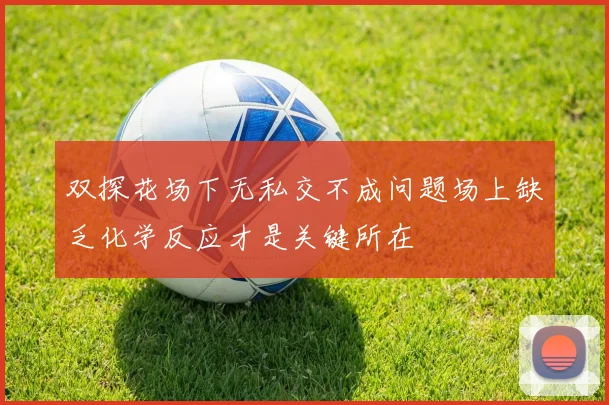 双探花场下无私交不成问题场上缺乏化学反应才是关键所在